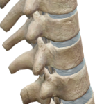 CI Course With Jocasta and Ali 