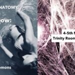 DYNAMIC ANATOMY: Fascial Flow / Arms as Roots - an Axis Syllabus based Dynamic Anatomy workshop with Zoë Solomons