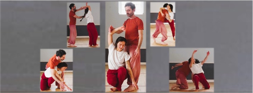 Basics to Beyond, Bristol, 2024-2025 - a course in Contact Improvisation - 6 full days over 6 months