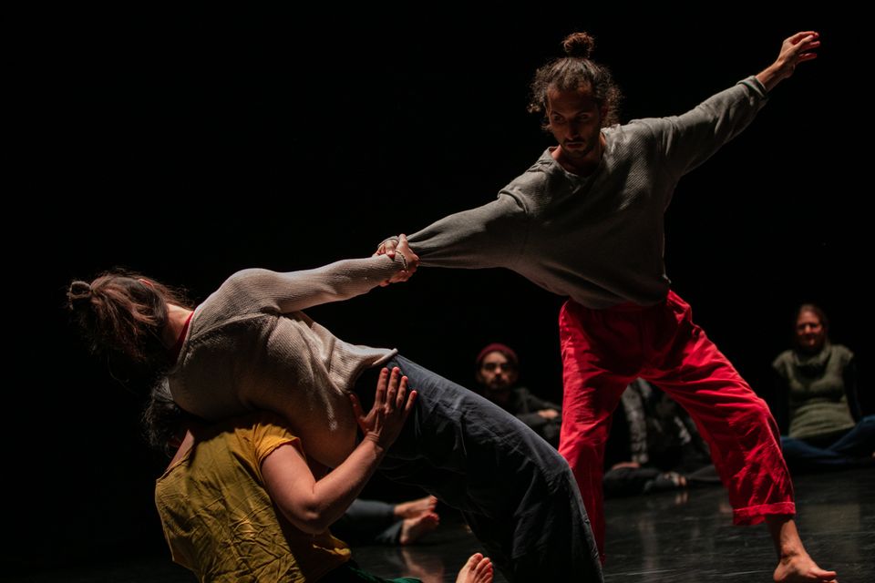 Stretching the form: Affor(dances) - Contact improvisation Meeting